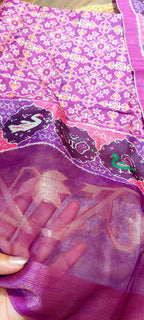 Patola Tussar Elegance